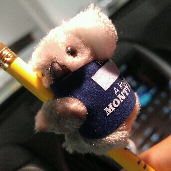 Meet your Posher, Jack - Picture 1 of 1